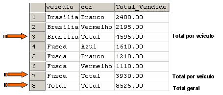 Totalizando Dados Usando Os Operadores Rollup E Cube No Sqlserver 00